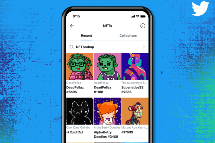 Twitter Blue Subscribers Will Be The First To Use NFTs Profile Photo Feature - SurgeZirc India