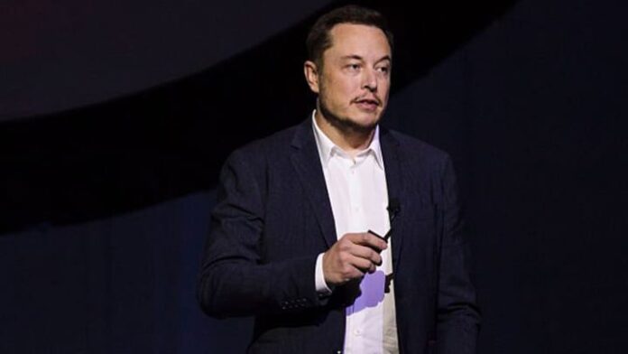 Elon Musk Says X Staff Can Get Their Stock — If They Prove They Deserve It - SurgeZirc India